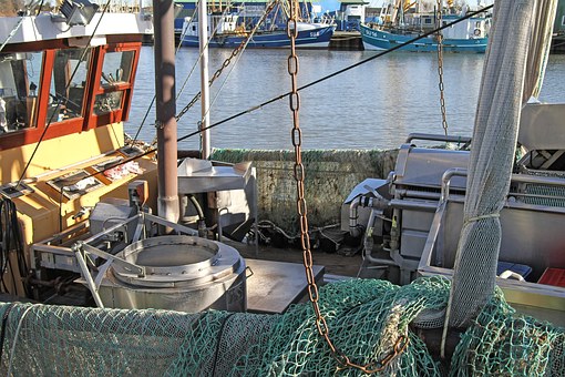 Tarjeta profesional de marinero pescador